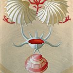 Maruja Mallo: máscara y compás