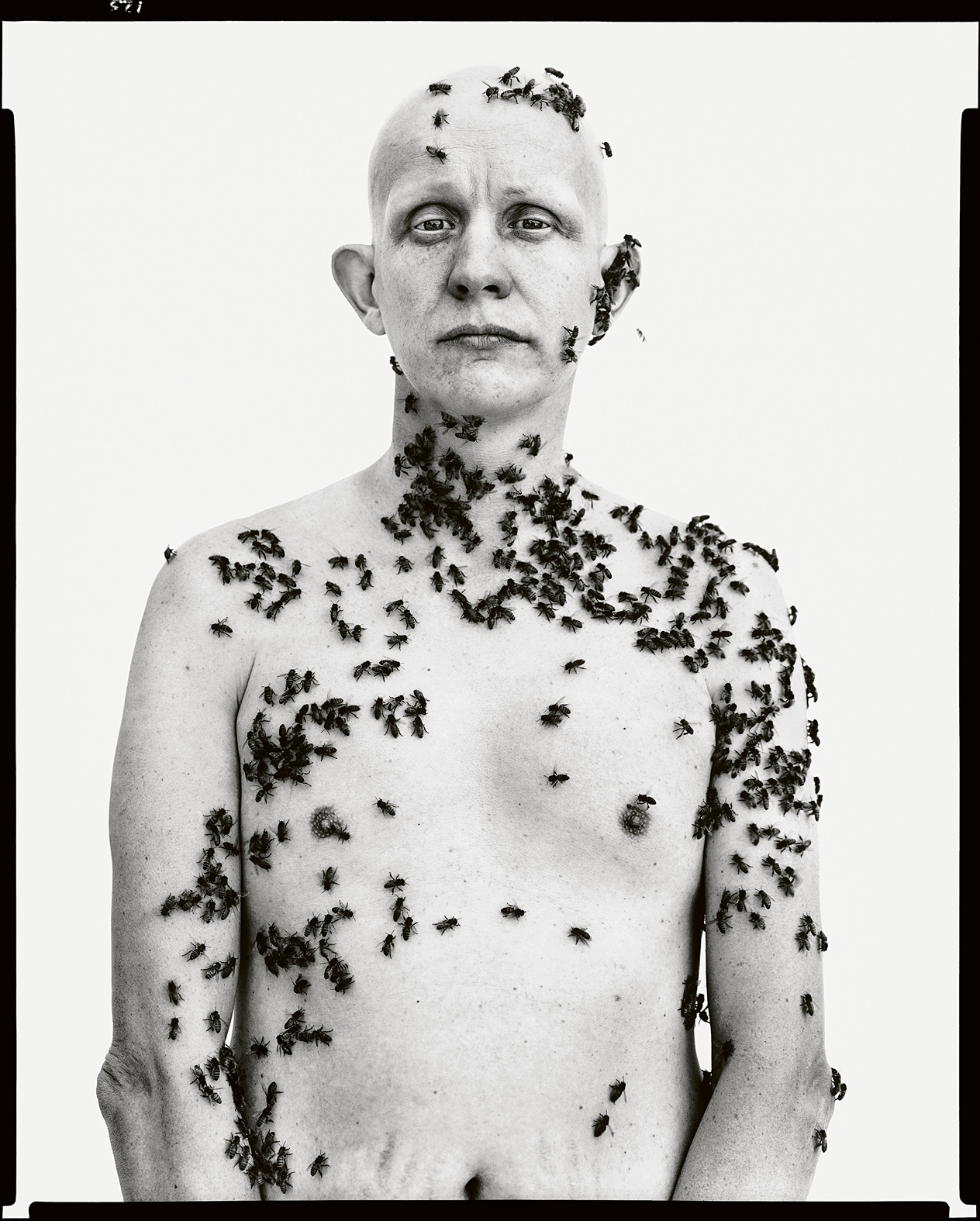 Richard Avedon. In the American West, 1979-1984