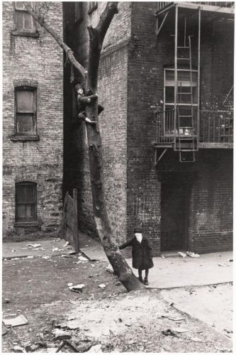 New York [113th Street], ca. 1938