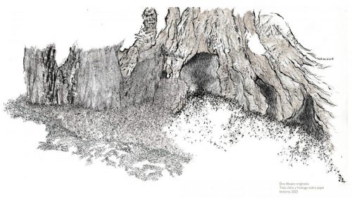 Dos dibujos originales a tinta china y frottage sobre papel