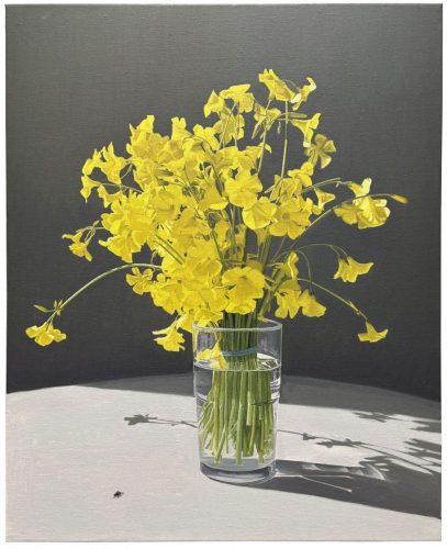 Flores y mosca