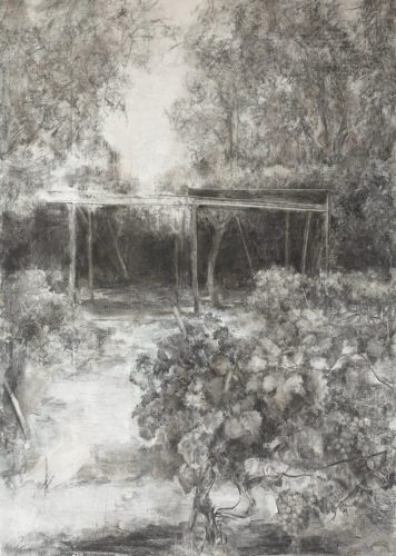 Vista de la viña I, 2006-2007
