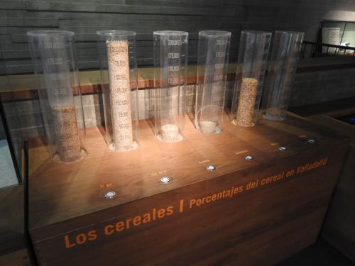 Planta tercera del Museo del Pan de Mayorga (Cereales)